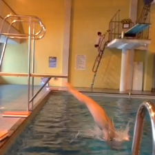Learn To Dive Prgramme Diver